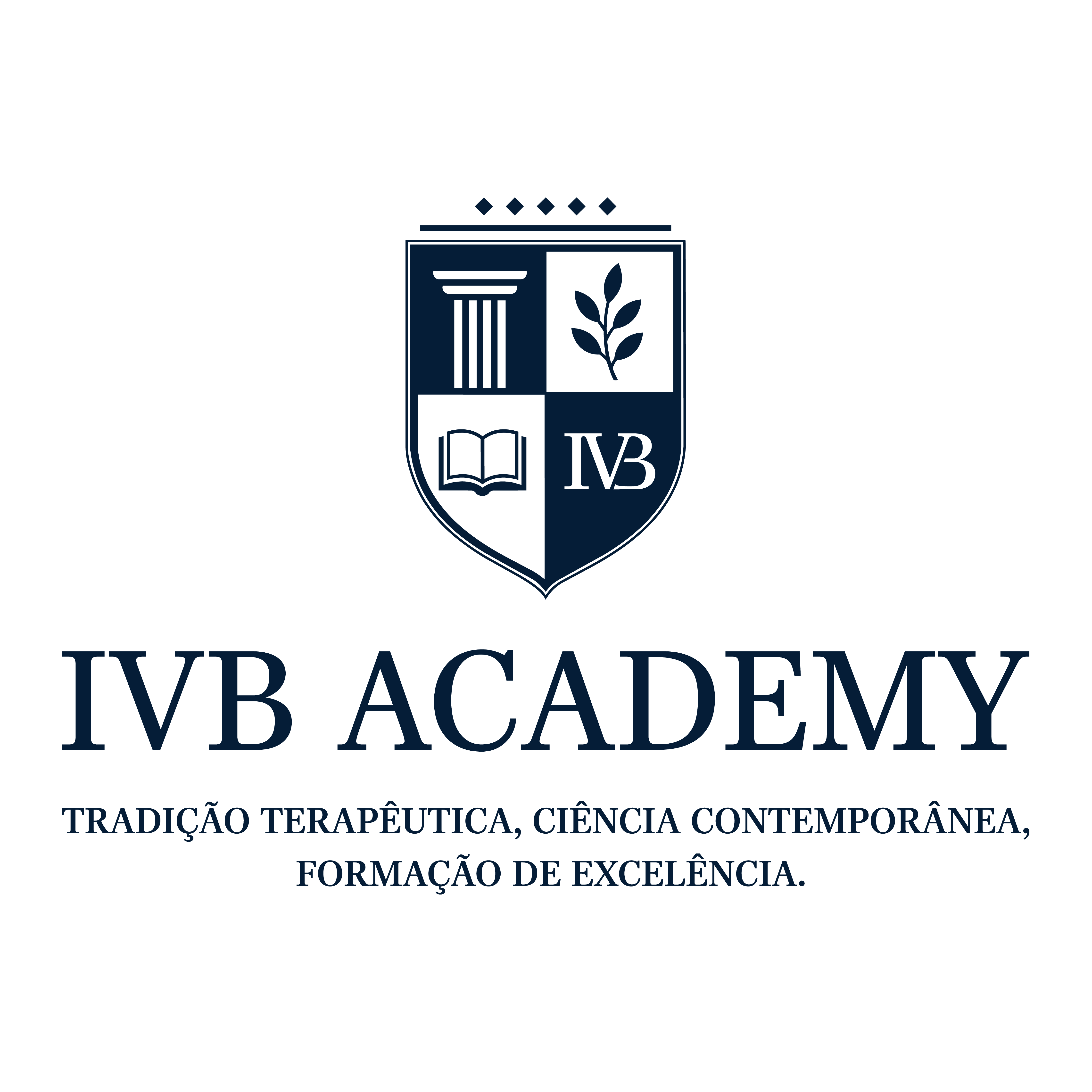Instituto Ivb Academy